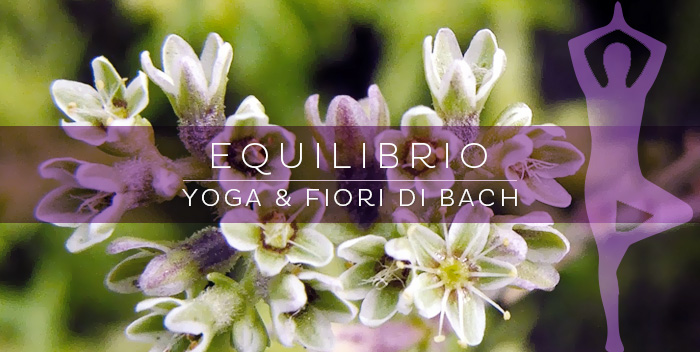 Yoga e Fiori di Bach: equilibrio fuori e dentro