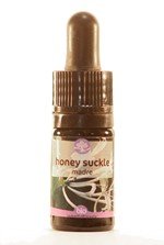 Honeysuckle – Estratto Madre