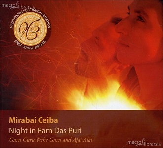 Night in Ram Das Puri – Mirabai Ceiba