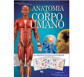 Anatomia del Corpo Umano
