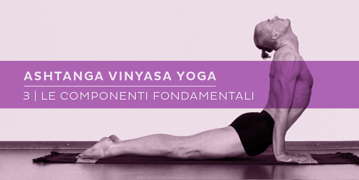 Ashtanga Vinyasa Yoga: le componenti fondamentali