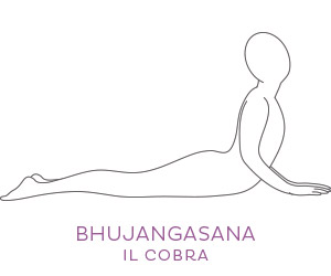 Bhujangasana, la posizione del cobra