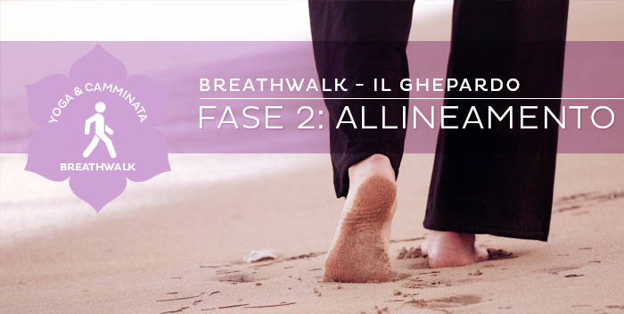 Breathwalk, il Ghepardo: fase 2, Allineamento