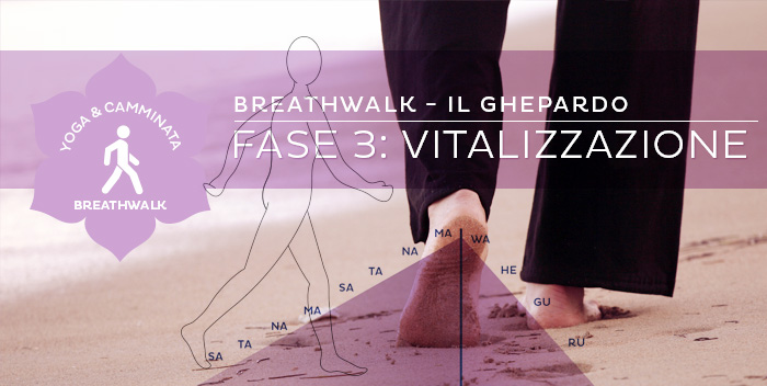 Breathwalk: il Ghepardo – Fase 3: Vitalizzazione